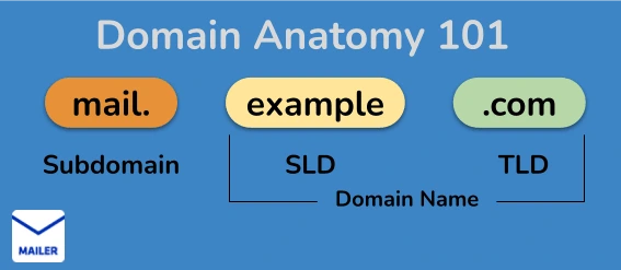anatomie du domaine 101 