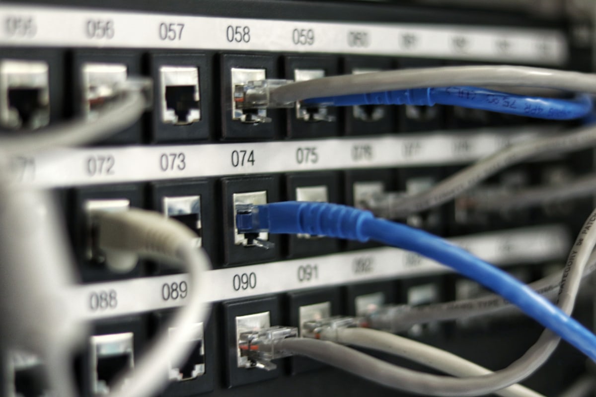 Network switch patch panel with blue and grey ethernet cables
